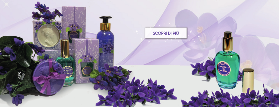 Offer Banner
